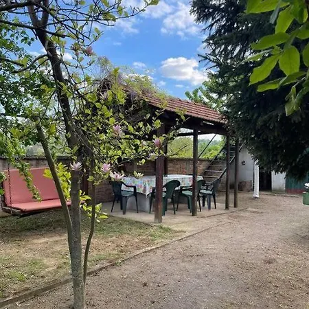 Villa Vikendica S, Alibegovac Petrovaradin