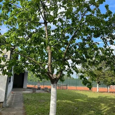 Vikendica S, Alibegovac Villa *